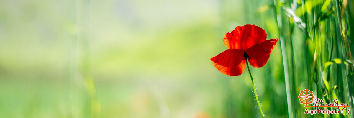 නොකළ යුතු දෙතිස් කථා
