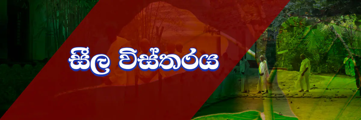 Description of Seelaya